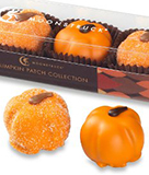 Pumpkin Patch Chocolate Collection