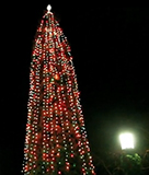 Piedmont Ave Tree Lighting