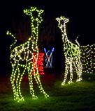 Oakland Zoo Lights