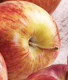 cameo apples