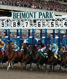 Belmont Stakes 