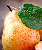 Brentwood Pear 