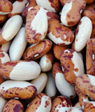 Zuursun Beans 