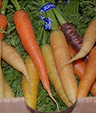 JW Organic Farms Carrots