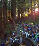 Redwood Concerts