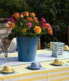 Image of an outdoor table set for brunch for mother's day