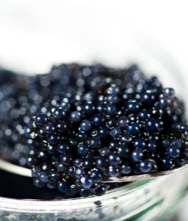 Tsar Nicoulai Caviar