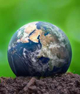 Image of planet earth sphere against a green background with soil