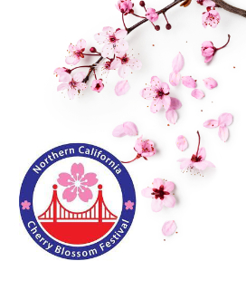 Photo of a cherry blossom branch for the 56th NorCal Cherry Blossom Festival