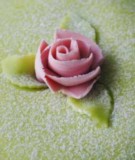 Image of pink rose on top of the Green Princess TortaBella Cake