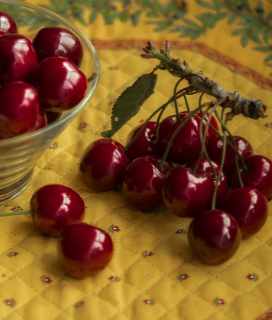 Image of U-Pick Cherries and Apricots on a yellow placemat