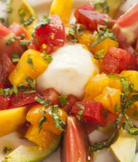 Serving of Gammy Salad with tomatoes, avocado and burrata cheese