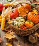 Image of Pumpkins, Squash, and Fall Decor in a basket