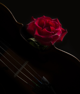 Image of a violin and a rose for Oakland Symphony Presents Romeo & Juliet