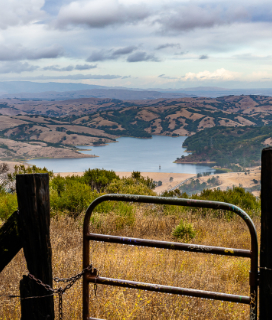 View from a trail in Tilden for East Bay Parks Events