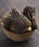 Bowl of morels for Pistol River Dried Mushrooms