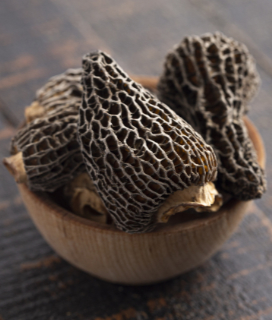 Bowl of morels for Pistol River Dried Mushrooms