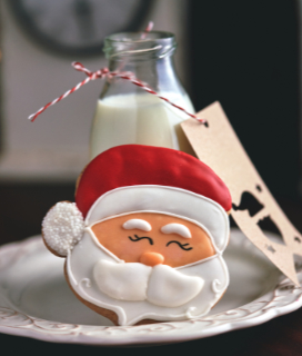 Photo of a Santa Cookie with a bottle of milk for Merry Christmas 2023