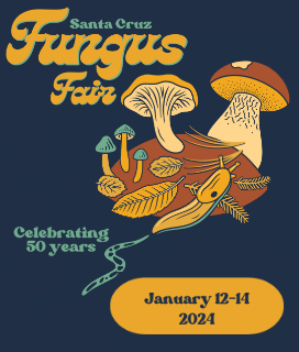 Poster for Santa Cruz Fungus Fair