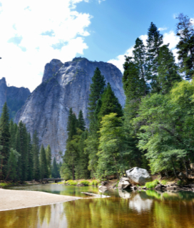 Photo of Yosemite for Free National Parks Day January 15