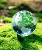 Photo of a glass globe on a mossy rock for Earth Day 2024
